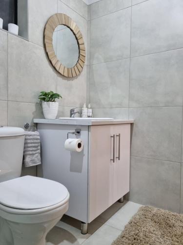 a bathroom with a white toilet and a mirror at La Ford in Hopetown