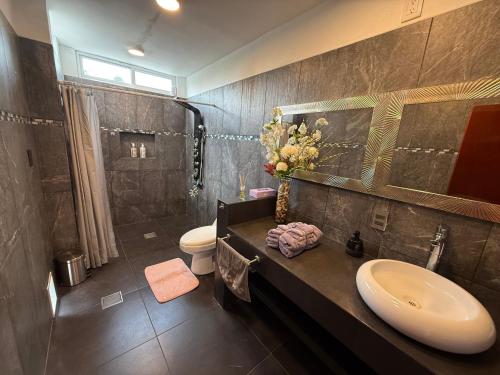 Koupelna v ubytování Suites vergel balcón