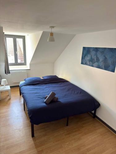 Katil atau katil-katil dalam bilik di Cosy 4 - Montbéliard centre 80m2