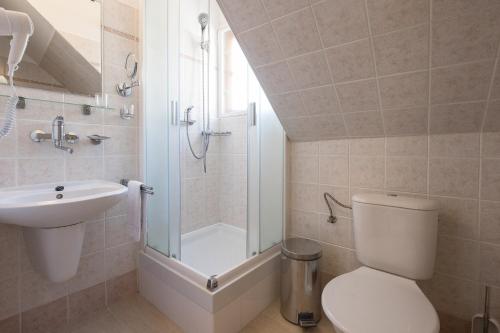 a bathroom with a toilet and a shower and a sink at Hotel U Černého orla in Telč