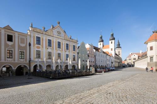 a cobblestone street in a city with many buildings at Hotel U Černého orla in Telč