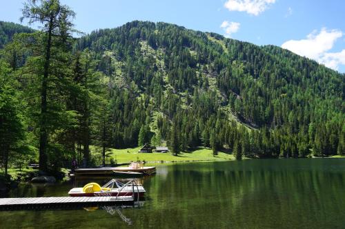 a dock and a boat on a lake with a mountain at Apartments Schrim in Fiegler