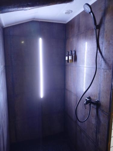 Un baño de Gîte Les Galins