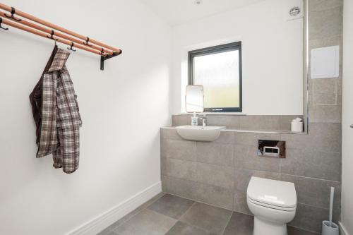a bathroom with a toilet and a sink at 27 Strathtay Lodges in Aberfeldy