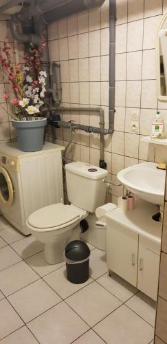 a bathroom with a toilet and a sink at Les BRUGMANSIAS in Biesheim