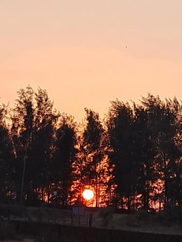 a sunset behind a group of trees in a field at Sea View Villa in Kondivli