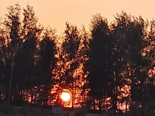 a sunset behind a group of trees at Sea View Villa in Kondivli