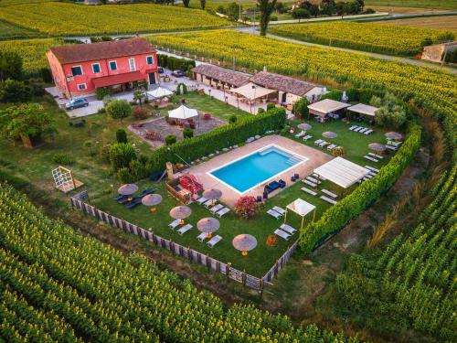 an aerial view of a estate with a pool in a vineyard at TORRE QUADRANA in Spello