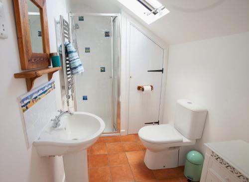 a bathroom with a toilet and a sink and a shower at Bleujenn barn, delightful home near stunning beach and walks in Penzance