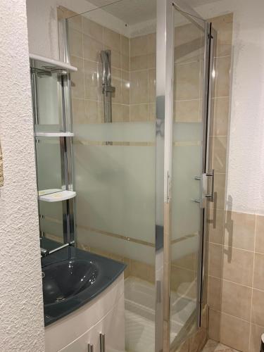 une salle de bain avec un lavabo et une douche dans l'établissement Studio des Ô Gentianes - 7 Laux, à Le Haut-Breda