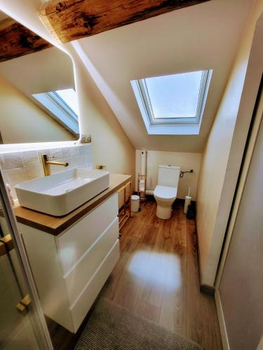 La salle de bains est pourvue d'un lavabo et de toilettes avec des lucarnes. dans l'établissement Loft chez l'habitant, à Reims