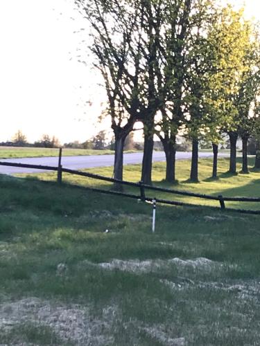 a fence in a field with trees and a road at Hus i Heda in Ödeshög