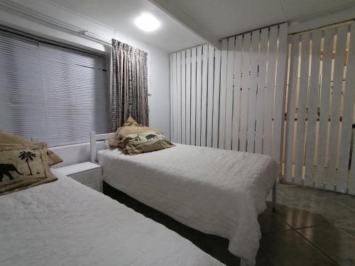 a bedroom with two beds and a window at Macaw Villa in Mossel Bay