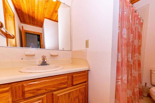 a bathroom with a sink and a mirror at Christie in Duck