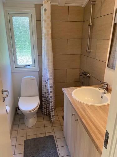 a bathroom with a toilet and a sink and a window at Sommerhus i Rødhus Blokhus in Pandrup