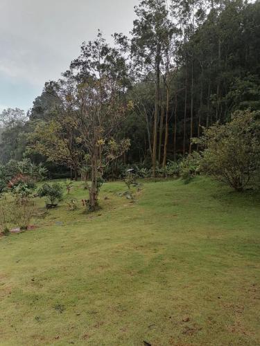 Un paisaje natural cerca del departamento