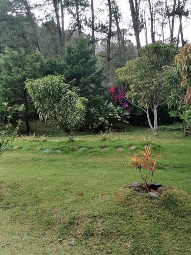 Un jardín fuera de Los Senderos Amados