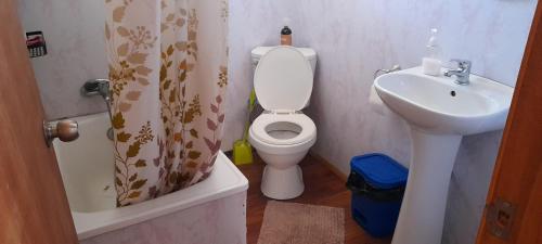 a small bathroom with a toilet and a sink at Cabaña almendra in Quellón