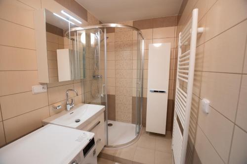Koupelna v ubytování Apartmán Radvanička