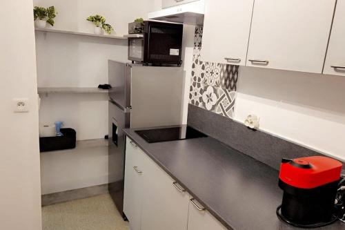 une cuisine avec des armoires blanches et un comptoir noir dans l'établissement Charming T2 of 44 m2 near the Annecy train station, à Annecy