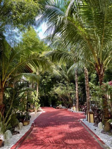 a red brick road with palm trees on it at Pook ni Urduja Resort 