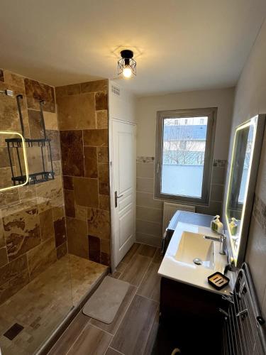 une salle de bain avec un lavabo et une douche dans l'établissement Appartement calme aux Prébendes, à Tours