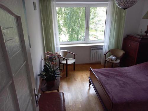 une chambre avec un lit et une fenêtre dans l'établissement Cichy i przyjemny pokój na Muranowie, à Varsovie