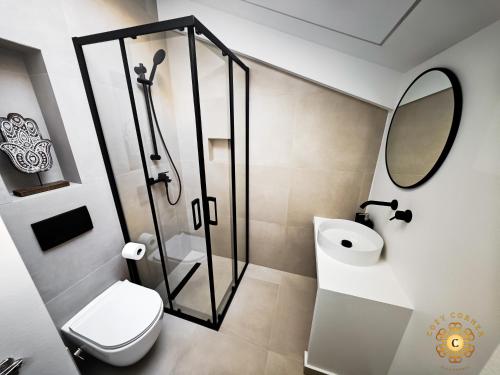 a bathroom with a shower and a toilet and a sink at Cozy Corner 2 in Cluj-Napoca