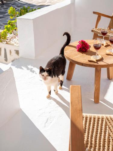 Haiwan peliharaan atau haiwan-haiwan peliharaan yang menginap dengan tetamu di Chanos Luxury Suites Paros