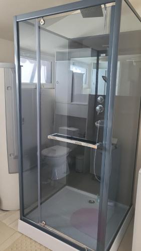 a glass shower in a bathroom with a toilet at Bas de maison envoutant in Saint-Louis-du-Rhône