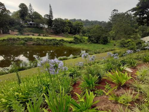 a garden with purple flowers next to a pond at Studio 2 Churchill lane in Hillcrest