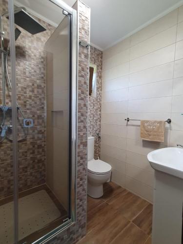 a bathroom with a shower and a toilet and a sink at Pensiunea Bogada in Praid