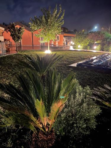 a palm tree in a park at night at La Casetta di Lollò in Aci SantʼAntonio