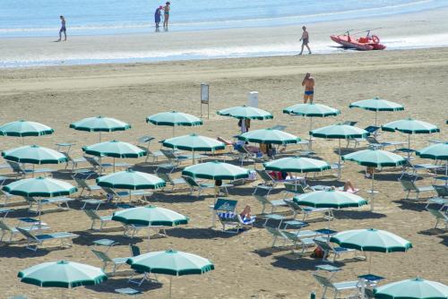 Pantai di atau dekat dengan hotel