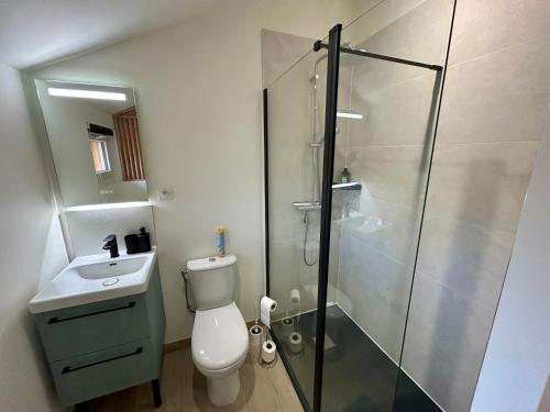une salle de bain avec toilettes et douche en verre dans l'établissement Tiny house de charme toute équipée, à Le Pian-Médoc
