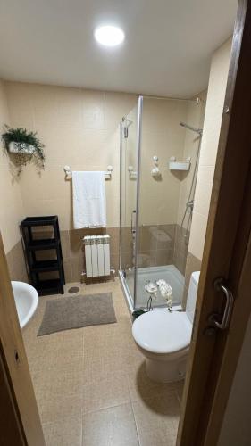 a bathroom with a shower and a toilet and a sink at Apartamentos Suites Iscar in Iscar