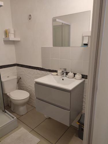 une salle de bain avec un lavabo, des toilettes et un miroir dans l'établissement Rose Corse, à Santa-Maria-Figaniella