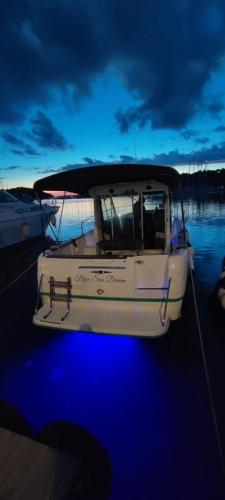 a boat is docked at a dock in the water at Blue Ses Dream in Vrsar