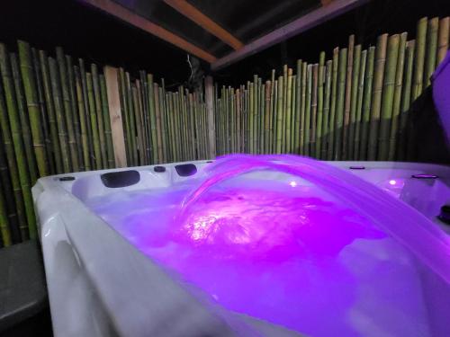 Imagen de la galería de Cabanes en Loire, Gite & SPA en pleine nature, en Veuzain-sur-Loire