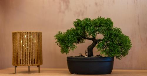 a bonsai tree in a blue pot next to a chair at SM Exclusive Apartments in Visoko