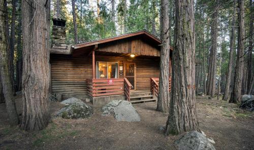una cabaña de troncos en el bosque con árboles en Pine Creek Cabin, en Wawona