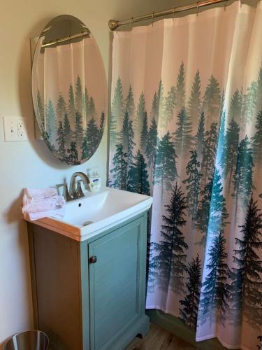 a bathroom with a sink and a shower curtain at Gresham Shores-Big Dipper #3 in Arbor Vitae
