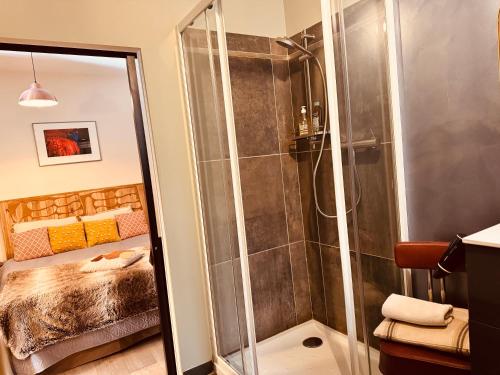 a bathroom with a shower and a bedroom at La Tannerie, centre historique, fibre, ESS, rez-de-chaussée, BedinShop in Romans-sur-Isère