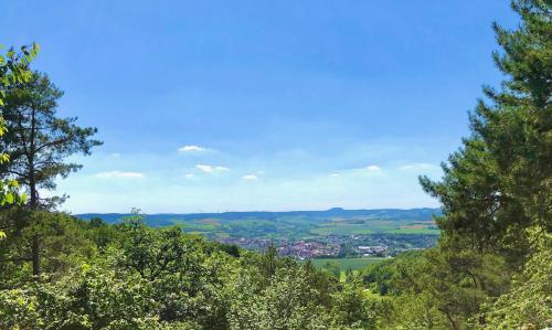 a view from the top of a hill with trees at Wyzenborne in Sontra