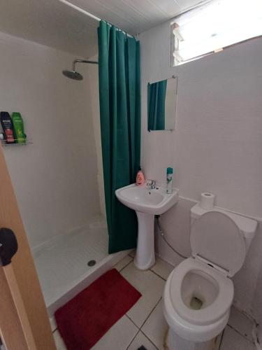 a bathroom with a toilet and a green shower curtain at Pitake Lodge 2 in Nuku Hiva