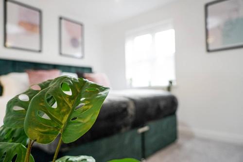 a bedroom with a bed and a green plant at Harvest Way House Shortlets in Witney