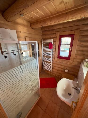 a bathroom with a shower and a toilet and a sink at HyggeZeit-im-Holzblockhaus-in-Wernigerode in Wernigerode