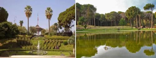 La Corte Fiorita photo 42