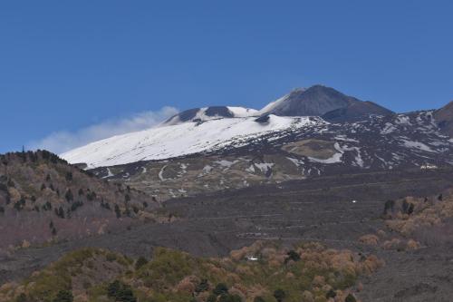 La Corte Fiorita photo 41