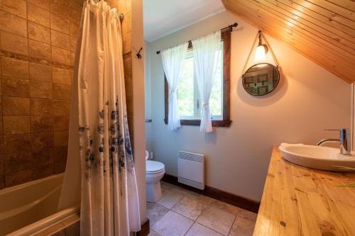 a bathroom with a sink and a toilet and a shower at La Grande Ourse de Charlevoix in Petite-Rivière-Saint-François